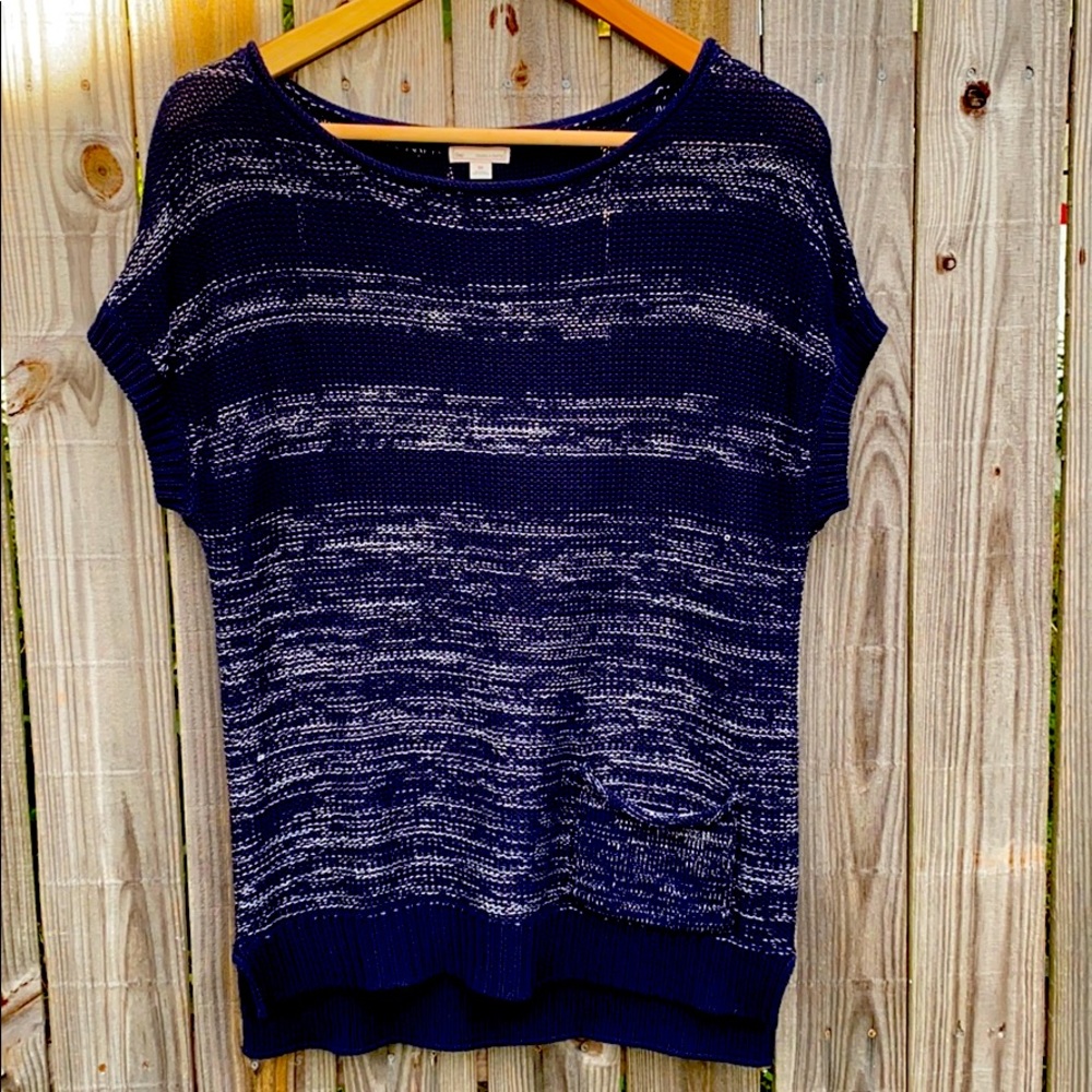 EUC Gap Blue and White Short Sleeve Sweater